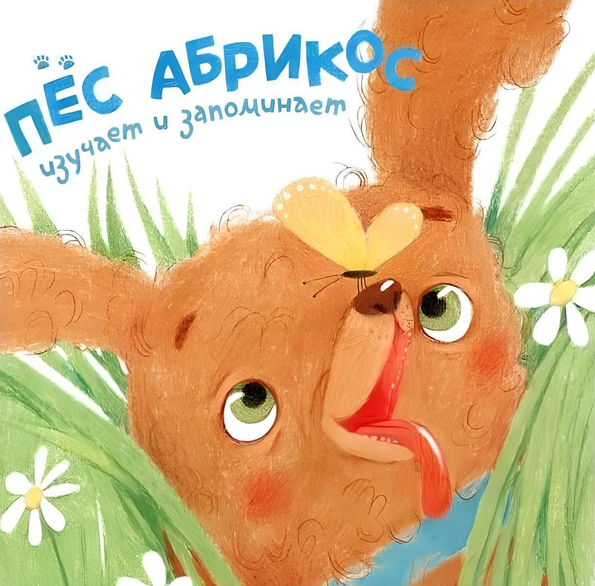 Зуля Стадник. «Пёс Абрикос изучает и запоминает». Издательство 40 Книг