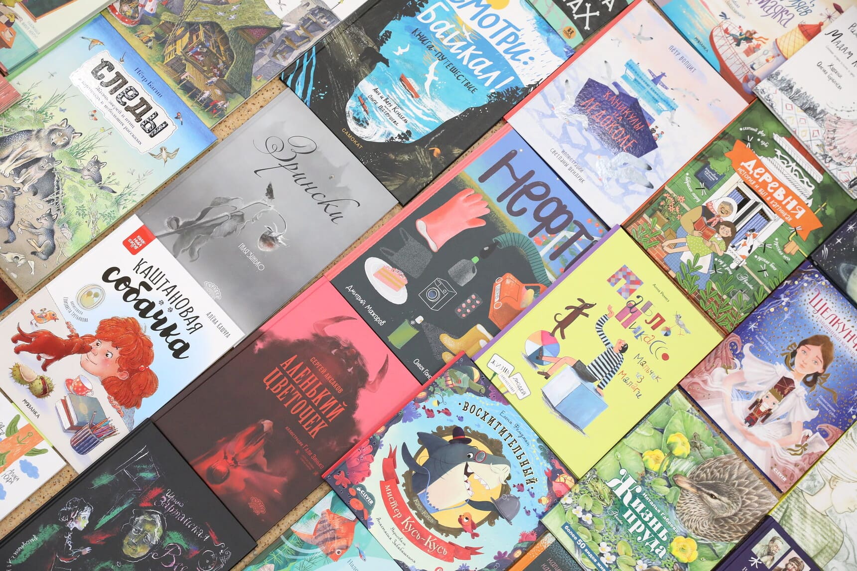 Почетный список IBBY – 2026